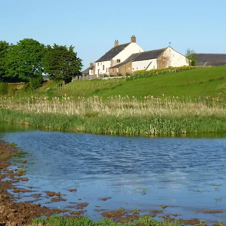 Fortress, On Hadrians *