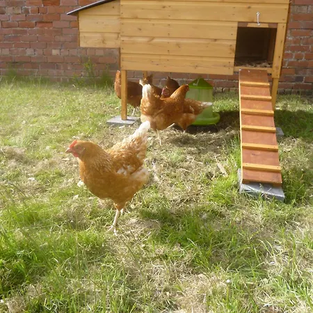 Hébergement de vacances Fortress, On Hadrians