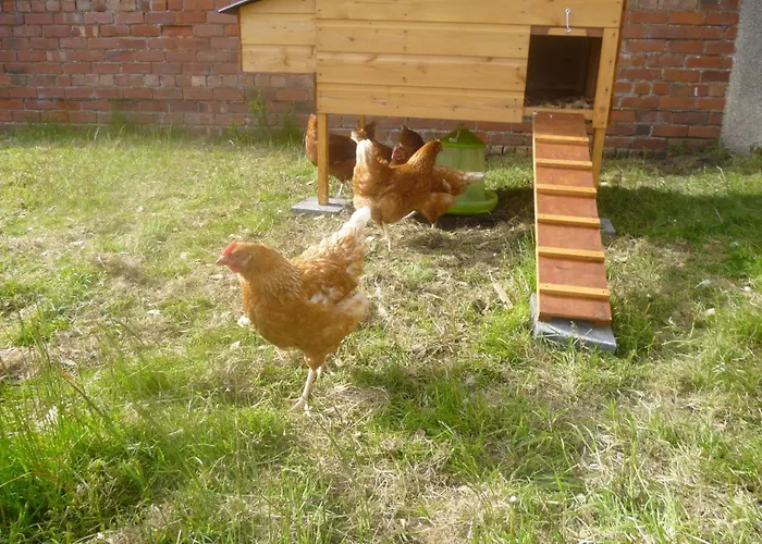 Hébergement de vacances Fortress, On Hadrians